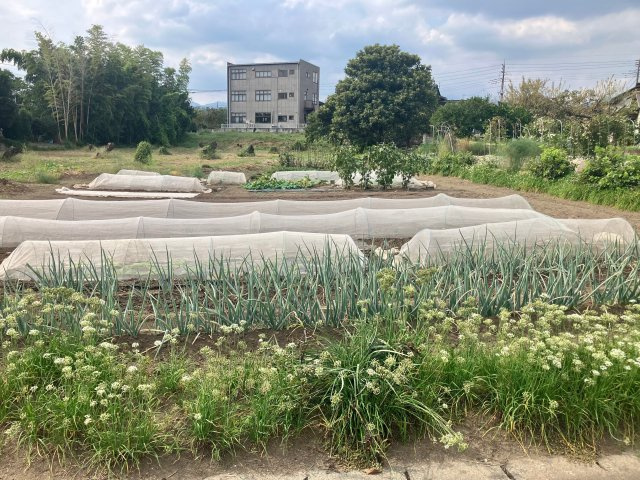 高崎市箕郷町　売地のその他|63坪の土地★