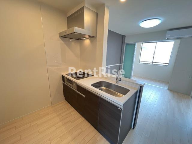 アルパインローズ Ｃのエントランス|外観写真その他1