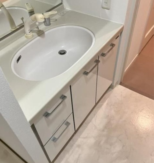 シーズガーデン日暮里パークウエストの洗面所