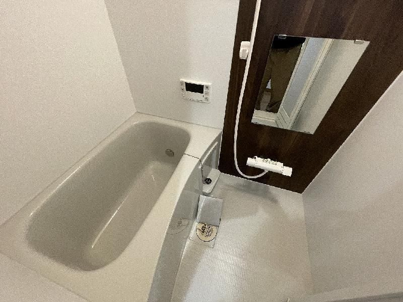 MELDIA大蓮Ⅱ（メルディアオオハスツー）の浴室