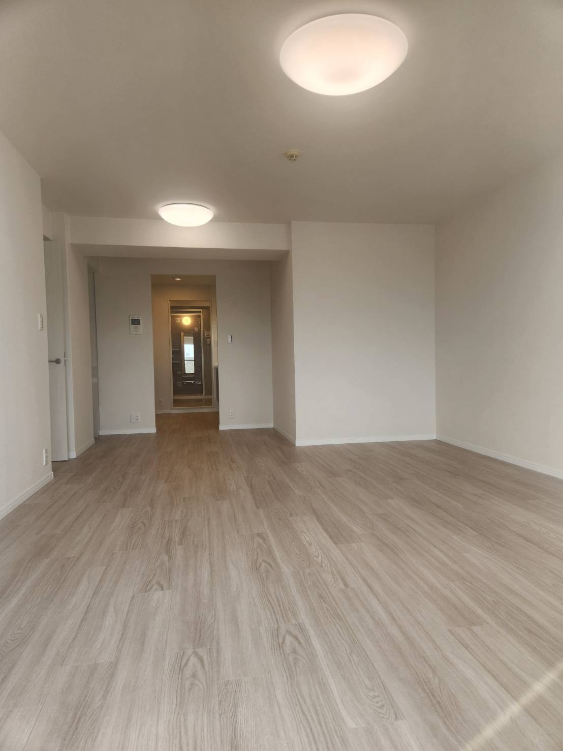 リプレ川口一番街１号棟の居間・リビング|南面の明るいリビング