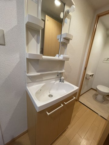 三恵ガーデンハイツの洗面所