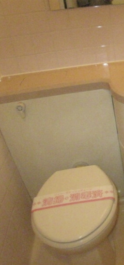 イル・フィオーレ笹塚のトイレ