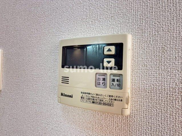 シス・アムールのその他