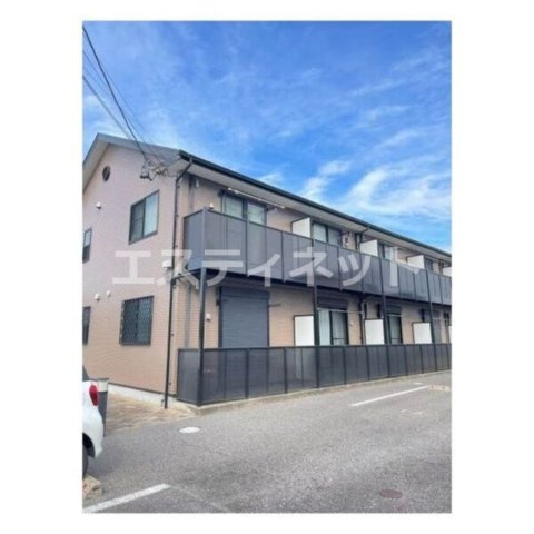 アンプルールリーブル緑陽