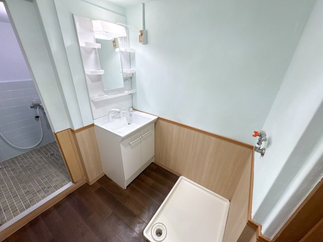 奈良市帝塚山貸家の洗面所