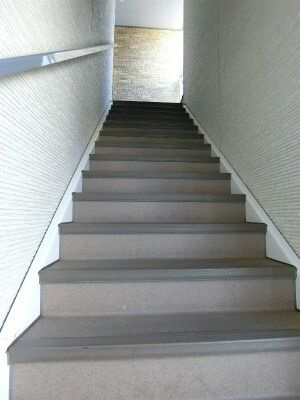 【その他】 | リブリ・サクラ