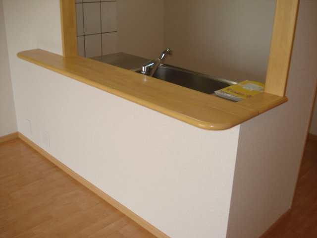 サウスビューのキッチン|カウンターキッチン