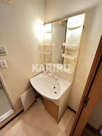 シェルマンド毛馬の洗面所|洗面所です