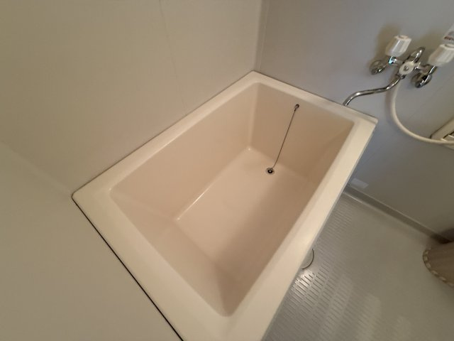 ボナール柴原の浴室