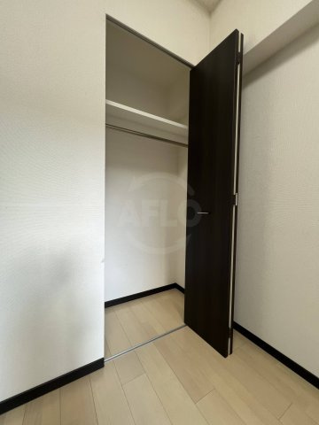 エステムコート難波WEST-SIDEⅡベイフレックス　波除小学校区の収納|エステムコート難波WEST-SIDEⅡベイフレックス　クローゼット