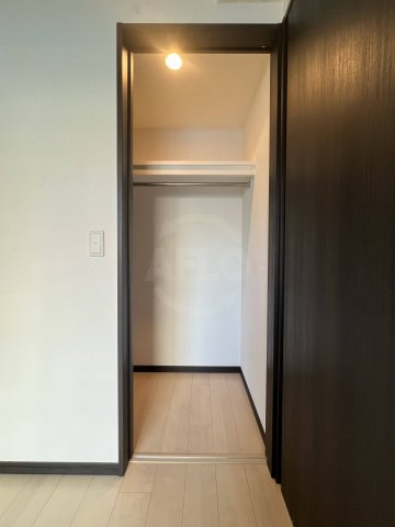 エステムコート難波WEST-SIDEⅡベイフレックス　波除小学校区の収納|エステムコート難波WEST-SIDEⅡベイフレックス　ウォークインクローゼット