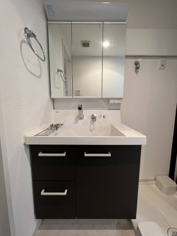 エステムコート難波WEST-SIDEⅡベイフレックス　波除小学校区の独立洗面台|エステムコート難波WEST-SIDEⅡベイフレックス　独立洗面台