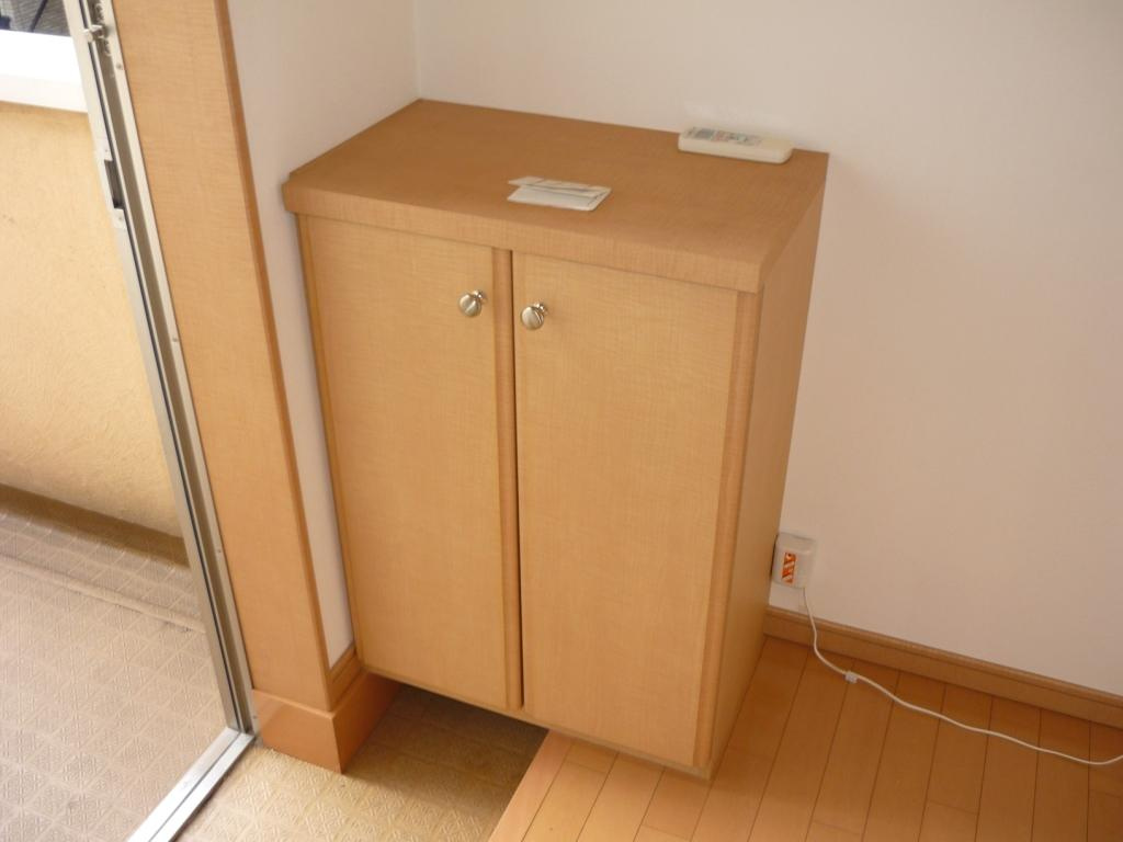 アネックスガーデン本千葉の玄関|落ち着いた玄関です