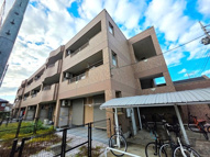 ブルームの画像