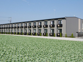 おしゃれな外観です