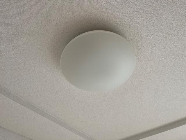 リバティはなみずきＡ・Ｂの設備|照明