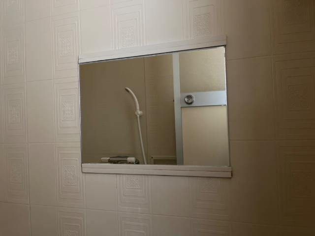 リバティはなみずきＡ・Ｂの洗面所|バスミラー