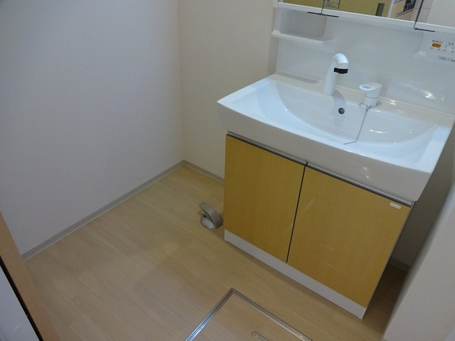 スライヴ プレイスの洗面所|脱衣所