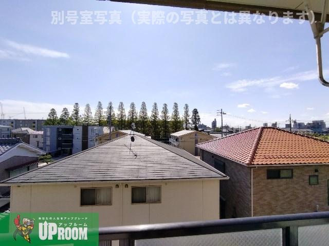 Ｌｉｍｐｉａリリーの展望