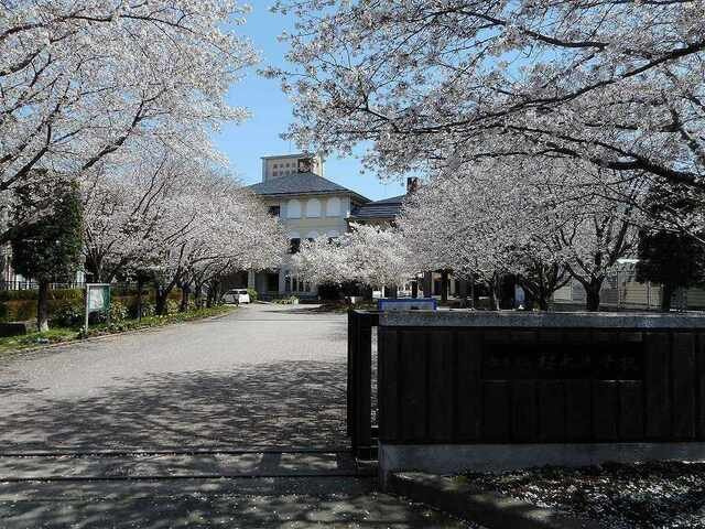 熊本市東区桜木３丁目のアパートの周辺|桜木中学校まで240m