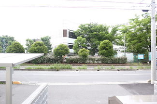 【展望】 | Brilliance