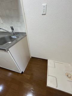 ドミトリオ仁王田のその他