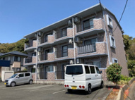 スカイウィングの画像