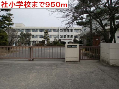 【周辺】 | シンヴィオシスＣ | 社小学校まで950m