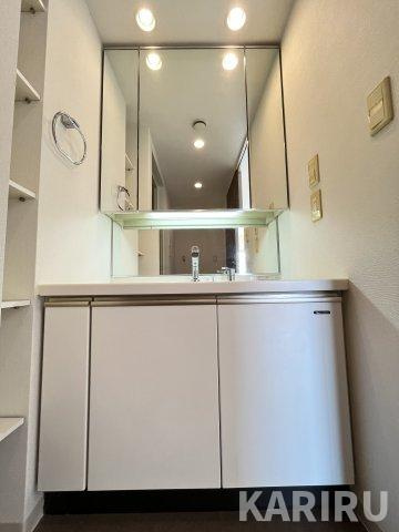 レジディア都島Iの洗面所