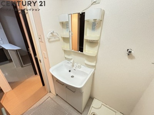 アメニティ収納棚ありの独立洗面台です