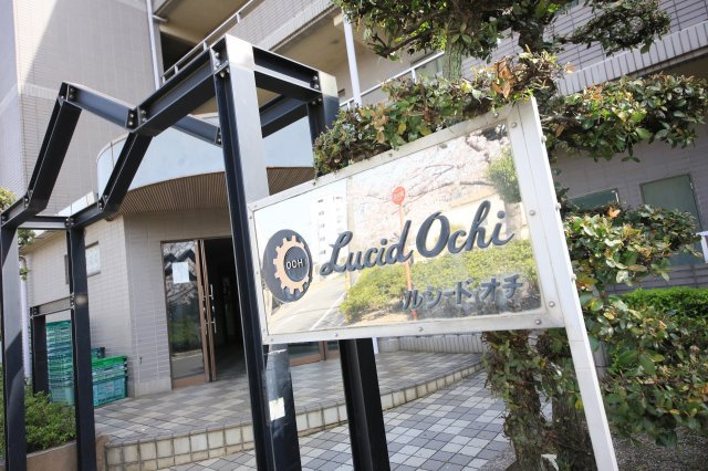 ルシードオチのその他