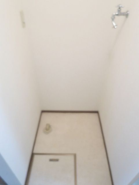 ビューラー・ハイムの洗面所|室内洗濯機置き場。