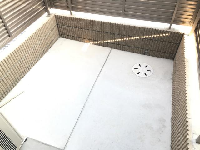 アマリリスの庭|庭