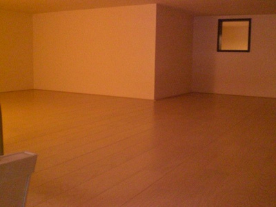 【内装】 | レオネクストオリーブハウスⅦ | ロフト、広々♪