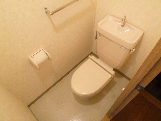 アミーグランコート三宮のトイレ