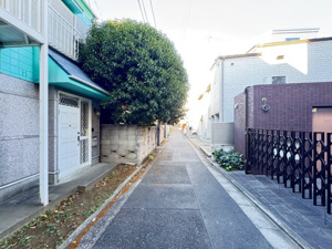 【前面道路含む現地写真】