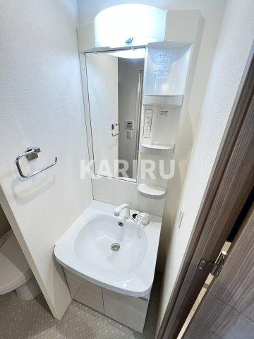 アドバンス大阪城エストレージャの洗面所