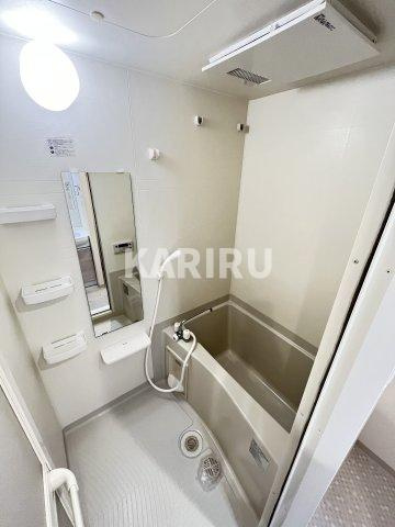 アドバンス大阪城エストレージャの浴室