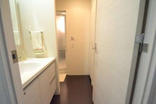 プライムメゾン武蔵野の杜の洗面所