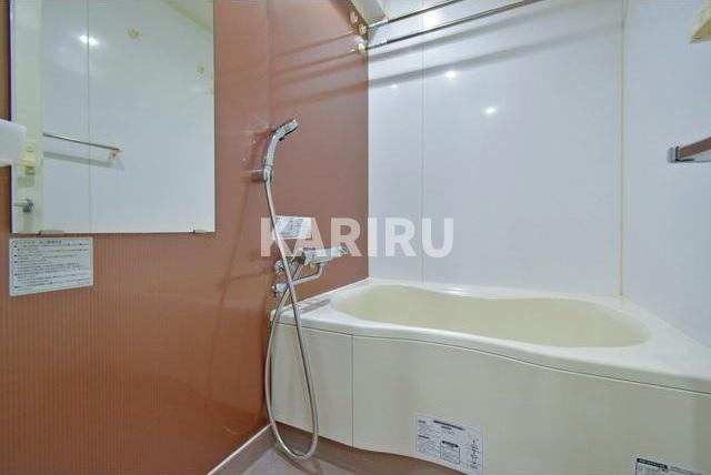 ISM谷町六丁目の浴室