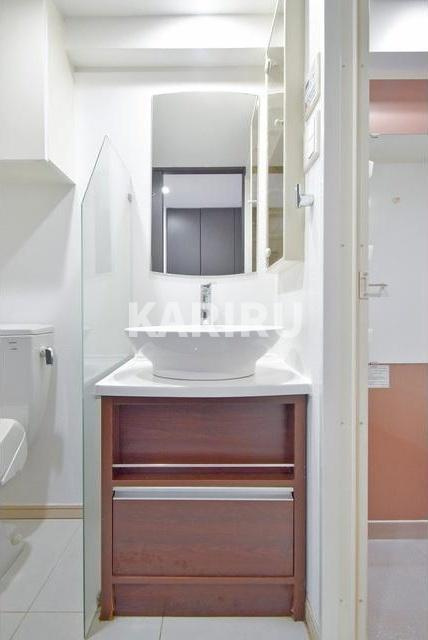 ISM谷町六丁目の洗面所