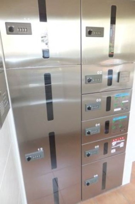 【その他】 | パイングロリア