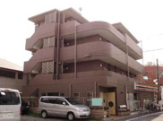 パイングロリアの画像