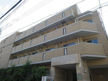 ＲＩＳＥＳＴＡＧＥ ＭＡＧＯＭＥの画像