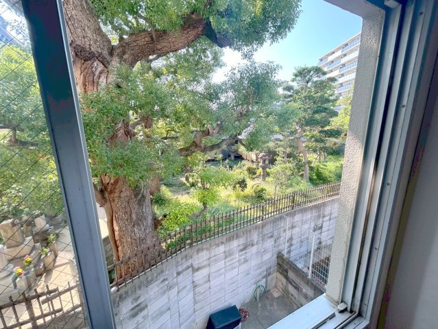 吉村コーポの展望