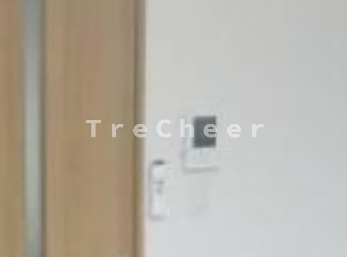 パレスエスケーオー(パレスSKO)のセキュリティ