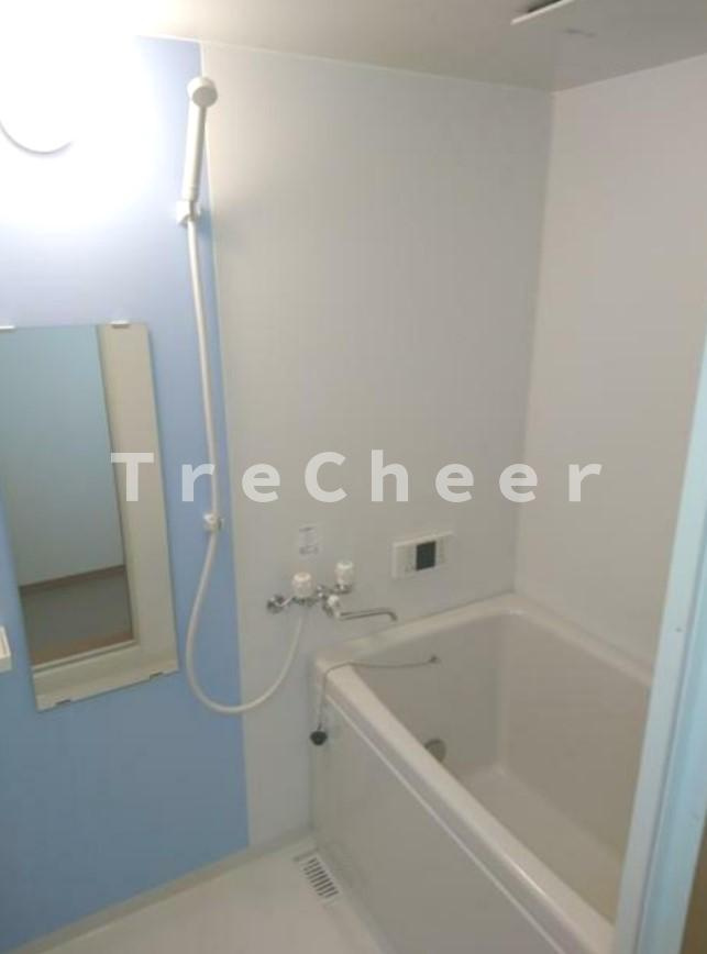 パレスエスケーオー(パレスSKO)の浴室