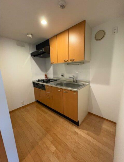 ユーレジデンス桜新町　礼金0　デザイナーズ　ペット相談　南向きのキッチン