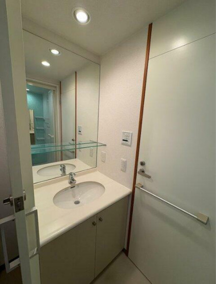 ユーレジデンス桜新町　礼金0　デザイナーズ　ペット相談　南向きの洗面所